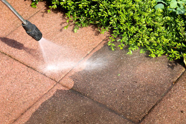 Best Pressure Washing Near Me  in Honeyville, UT